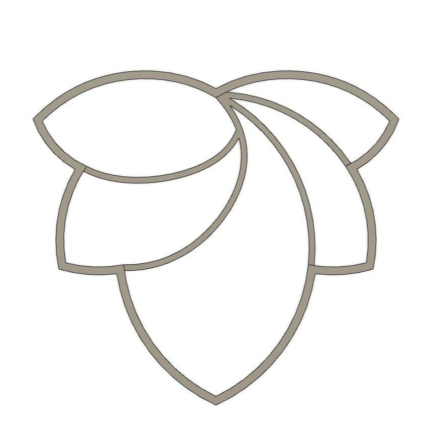NPC557 - Swirled Scallop