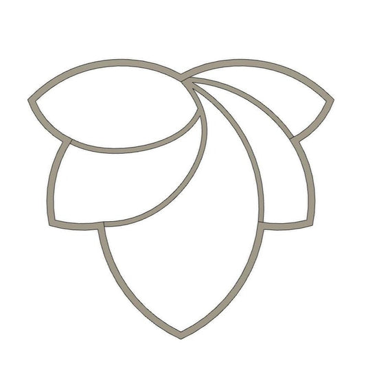 NPC557 - Swirled Scallop