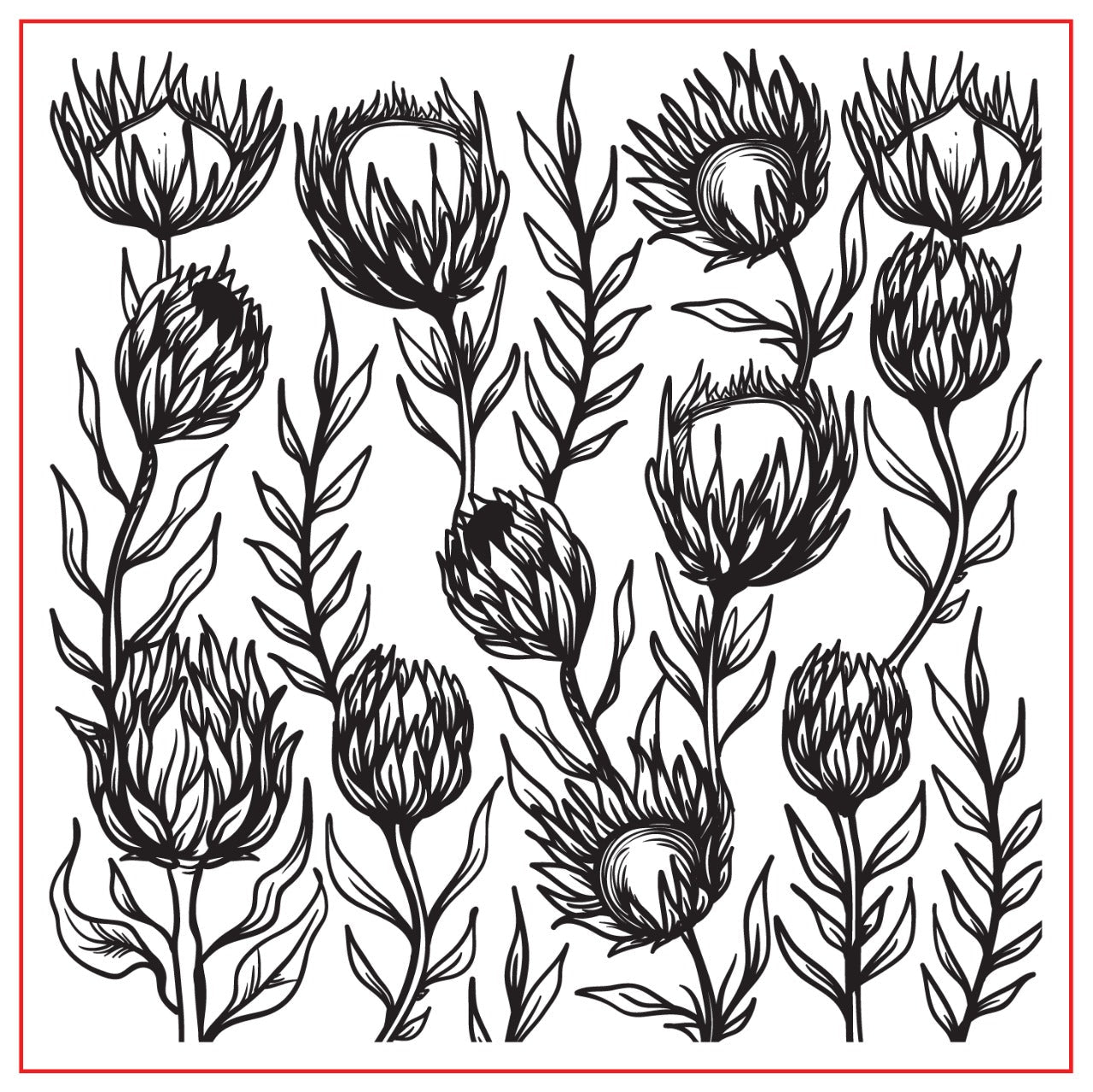 ROLL260- Protea Clay/Cookie/Fondant texture rollers